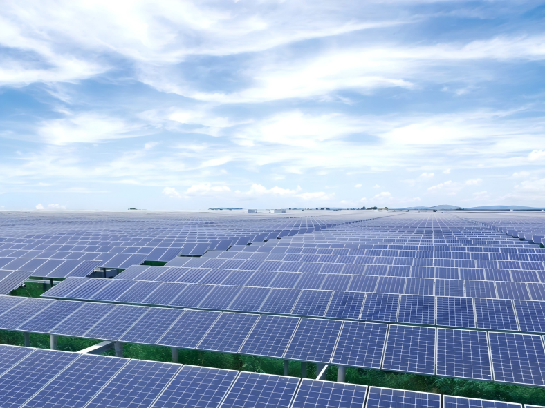 Centrale de p&ecirc;che solaire de 133 MW, Tianjin Chine