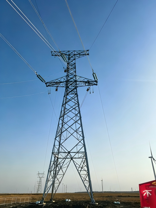 Tours de puissance de transmission 110KV en Chine