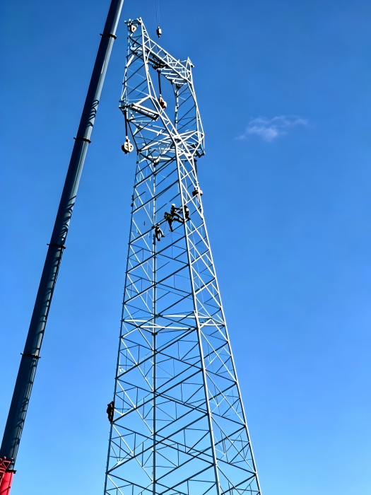 Projet de tours électriques de transmission de 220 KV en Chine